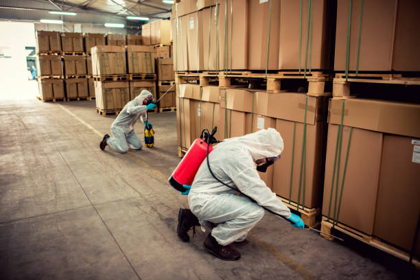 Best Pest Inspection Near Me  in Queensland, MD