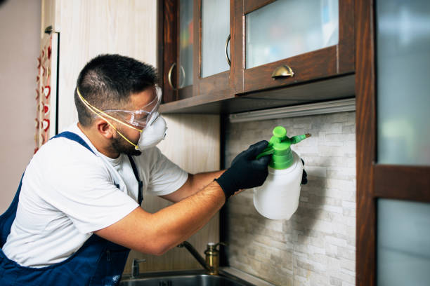 Best Termite Control Services  in Queensland, MD