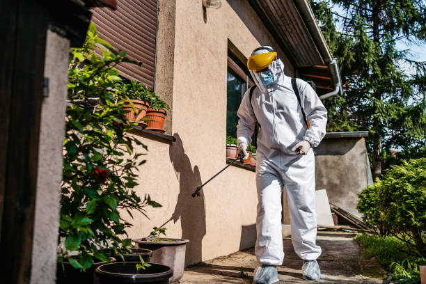 Pest Control Cost in Queensland, MD