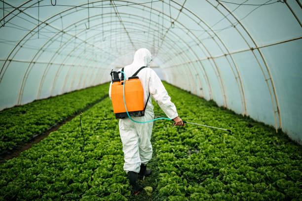 Best Affordable Pest Control Services  in Queensland, MD
