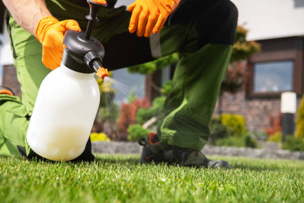 Insect Control in Queensland, MD