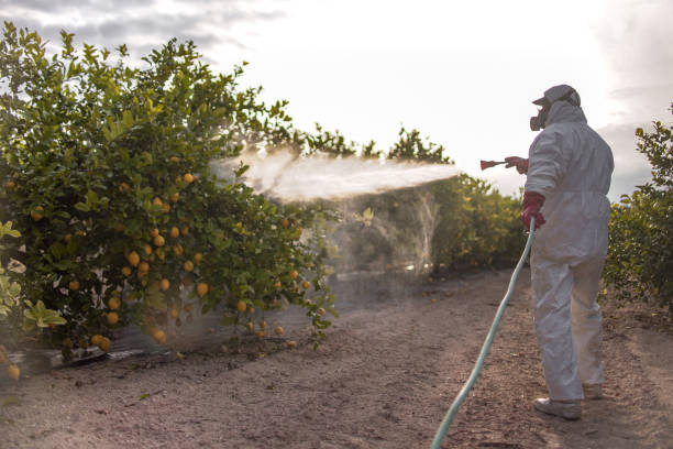 Trusted Queensland, MD Pest Control Experts