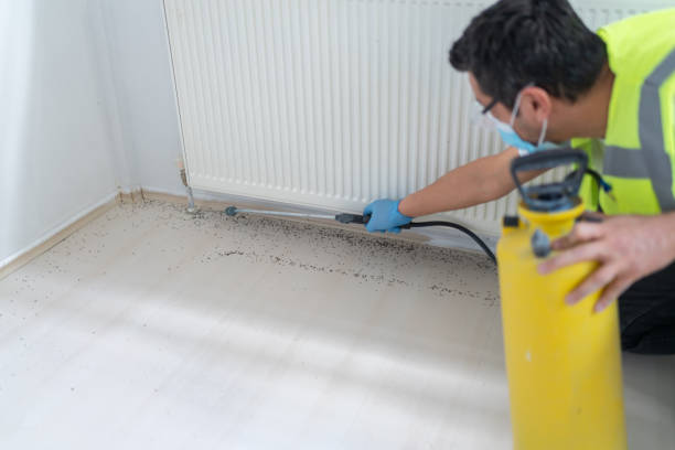Best Emergency Pest Control  in Queensland, MD