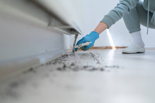 Best Pest Control for Restaurants  in Queensland, MD
