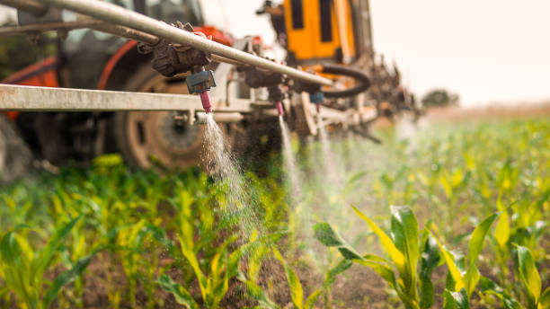 Best Mosquito Control Services  in Queensland, MD
